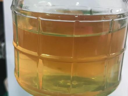 十元宠物开箱 第七十五期 好喝的胃宝 红茶菌#饮料#宠物 #十元店 #vlog日常#太岁