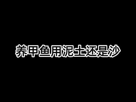 甲鱼怎么样,看这个视频#三农 #甲鱼 #甲鱼苗 #户外 #甲鱼养殖