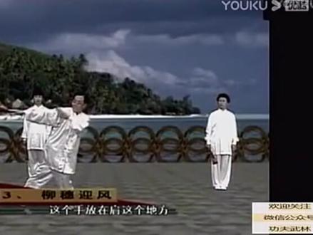 莲花功夫扇教学(1)