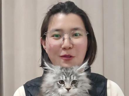 你家小猫是什么毛质#小猫 #养猫人 #猫毛 #猫 #铲屎官的自我修养