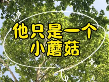 人们欢呼着庆祝新生,只有陆沨失去了他的爱人,这时候的陆沨其实已经崩溃了,一遍一遍的确定安折已经没了,最后接受这个事实 ,陆沨这是第一次哭啊 ಥ_ಥ #小蘑菇第二季 #广播剧 #安折 #陆沨 #猫耳FM