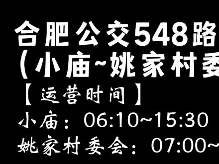 #17的POV系列 #合肥公交 #合肥 #肥西 #春日乡村 合肥公交548路POV(小庙~姚家村委会)