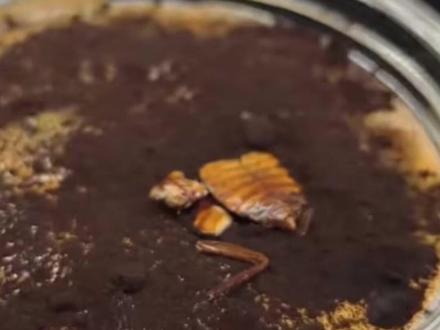 博物馆推45元蟑螂咖啡! 过于猎奇网友质疑食品安全,店家:该款已下架
