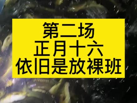 各行各业生意都不好做,钓场亦是先去做然后坚持,不就是逆风局吗又不是第一次#黑坑#长沙休闲垂钓#草帽子垂钓园