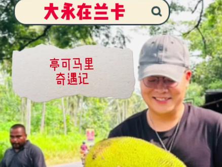 #斯里兰卡 亭可马里奇遇记1,从科伦坡一路向东,一路发生很多有意思的事情。#海外生活 #国外生活日常vlog #树上熟的菠萝蜜 #旅行vlog