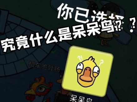 什么是呆呆鸟!#鹅鸭杀 #goosegooseduck