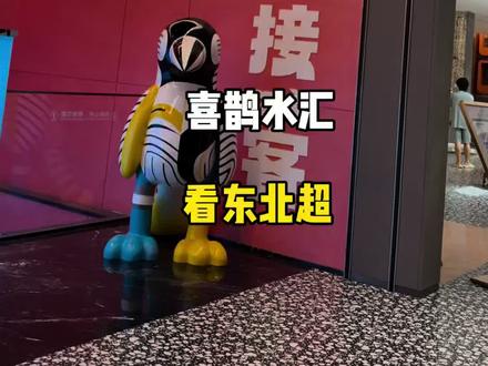 来喜鹊水汇 洗大澡遛娃看企鹅 #超级大玩家 #看东北超洗东北澡#跟着东北超游东北#心动沈阳@喜鹊水汇官方号