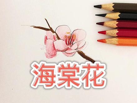 🍓教你画海棠花#简笔画教程 #每日一画 #绘画过程 #花园里面有什么 #想画就画 #彩铅