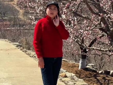 济南南部山区柳埠石匣村,杏花部分已开放 #赏花#治愈系风景 #随手拍了一下春天