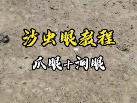 沙虫眼教程来啦,一看就会,一学就废#赶海 #挖沙虫#新农人计划