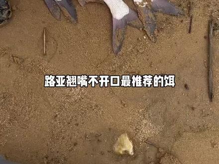 路亚翘嘴用什么假饵最好呢?#路亚翘嘴