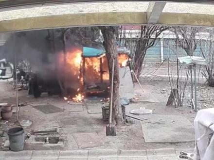 太恶劣!两小孩小区内玩耍 点烟花追鸡,还将养在笼内的萨摩耶活活烧死,犬主:不接受私了,要求孩子家长道歉,律师:小孩存在主观故意 构成民事侵权