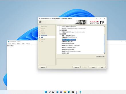 Oracle_11g数据库_安装教程详细 #数据库 #Oracle #oracle数据库 #Oracle11g