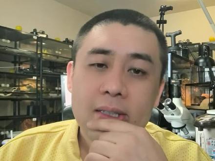 聊聊束带蛇下蛋这个事
#说真话 #上热搜 #束带蛇 #爬宠