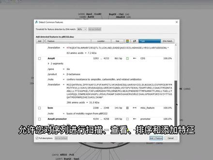 入门教程:如何使用SnapGene进行注释序列#snapgene教程 #snapgene