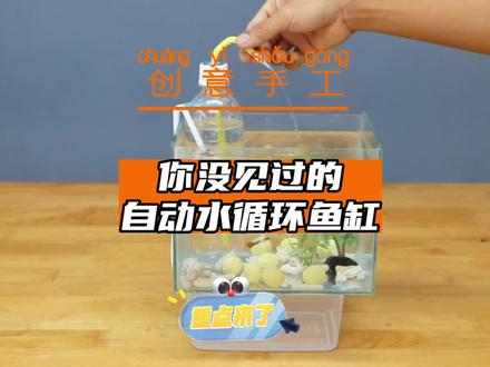这是一个通过塑料瓶和保鲜盒就制作成的不用电全自动水循环鱼缸 #鱼缸 #手工 #创意#小发明 #高手在民间