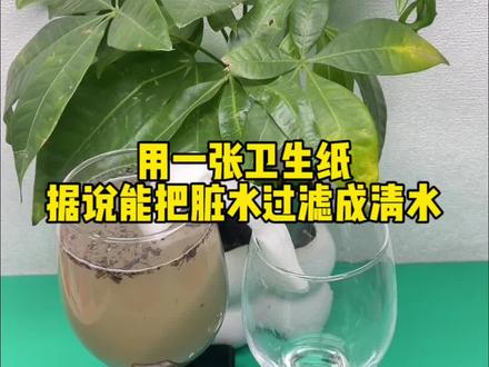 这样真的能把脏水过滤成清水?