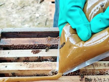 立春过后就要开始春繁了,两脾的小蜜蜂怎样快速发展成3脾蜂呢!#花粉浆 #蜜蜂饲料 #蜜蜂繁殖饲料