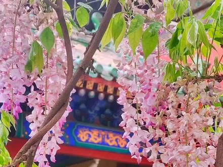 汇算清缴-财政专项补助资金税前扣除申报方法
#会计 #税务 #会计实操 #财务