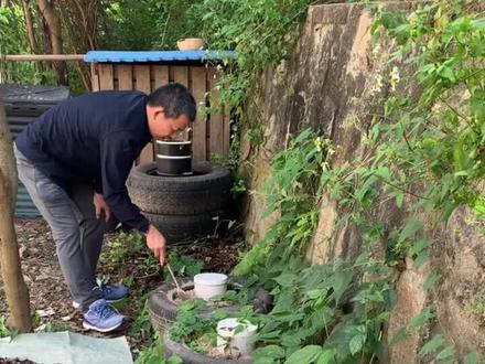 蚯蚓塔——分解者的乐园✨#蚯蚓塔 #厨余堆肥