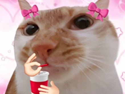 纯享二之“比比拉布”#小猫meme #猫meme #猫meme日常 #纯享 #过瘾