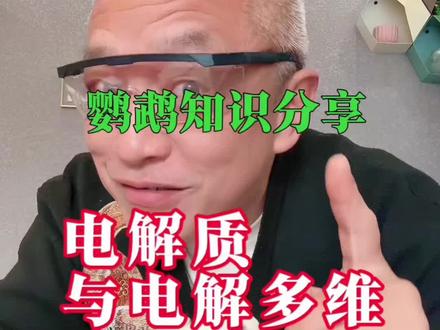 电解质与电解多维 #鹦鹉#牡丹鹦鹉#鹦鹉饲养知识 #副业#无限回购的宝藏单品