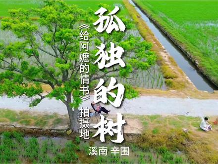 致敬《给阿嬷的情书》桥段 #打卡人间好风光 #dou上热门 #真实生活分享计划 #航拍家乡 #给阿嬷的情书 @抖音小助手 @DOU+小助手 @电影给阿嬷的情书
致敬《给阿嬷的情书》桥段-柴浪水客送番批拍摄现场