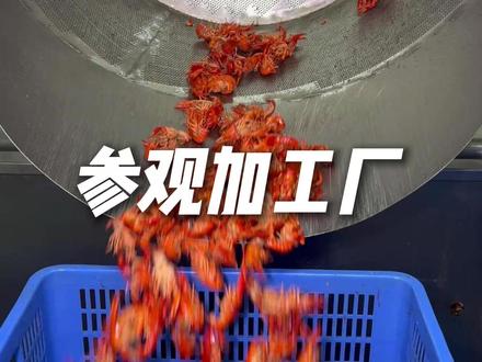 鲜油炸小龙虾源头 从原料到成品全过程揭秘.
#盛世永洋供应链 #顺达水产 #小龙虾 #冻品水产批发