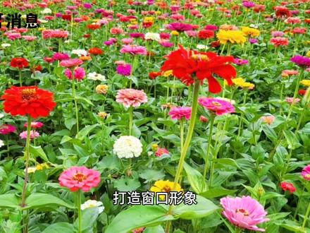 陇南机场温馨提示!今日起,北京陇南贵阳航班班期调整#风哥消息 #陇南机场 #寻美陇南