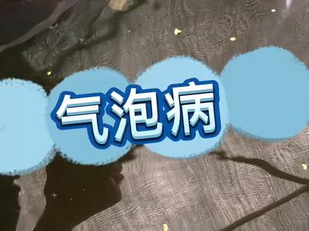 水蛭得气泡病很常见,朋友教我的防治方法我附在后面了。#水蛭 #水蛭养殖 @我要上热门