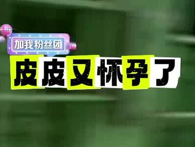 皮皮又怀孕了!老头的天又塌了#西北刀客皮皮