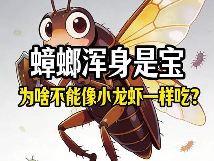 蟑螂浑身是宝,为什么不能像小龙虾一样吃? #涨知识 #蟑螂