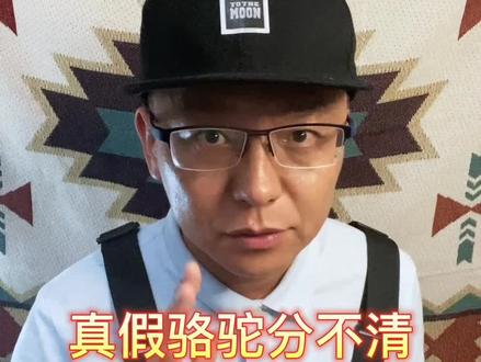 骆驼#骆驼 #露营 #露营装备 #户外装备 #骆驼户外