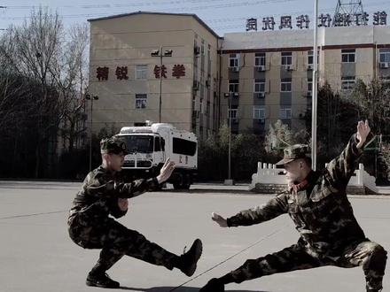 #武术当咏春VS太极,你pick谁?(王兆伦)