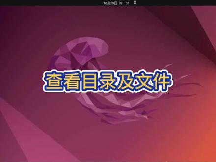 查看目录及文件#Ubuntu#LINUX#电脑技巧 #电脑 #电脑知识 #操作系统 #小技巧