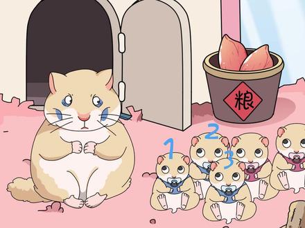 仓鼠总有理由吃自己的孩子#仓鼠#轻漫计划#万物皆可达#创造力计划