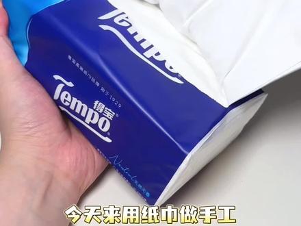 没有海绵没有棉花⁉️解锁用纸巾就能做的小海豹团子捏捏🔥💦 #自制捏捏 #小海豹捏捏 #纸巾手工 #万物皆可捏捏 #可爱