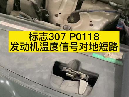又来盘法系车了😂标志307发动机水温传感器对地短路维修过程……#修车 #汽修人 #汽修 #汽车维修 #修理工的日常 #汽车维修保养 #同城精选