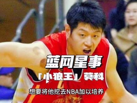 中国男篮小狼王——莫科 #篮球 #体育明星 #中国男篮 #体育精神 #莫科
