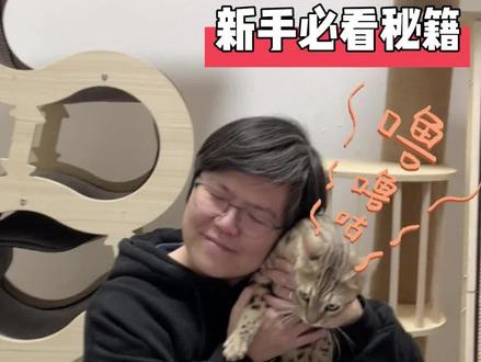 猫咪的呼噜声#新手养猫 #喵星人 #孟加拉豹猫 #萌宠 #sgcc