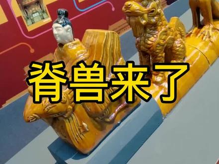 下次去故宫的时候,可以留意一下蹲在房檐上的小动物。#在家云游博物馆@抖音小助手