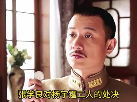 如果杨宇霆没有死,还有有九一八事变吗?蒋介石还会软禁张学良吗?#张学良 #杨宇霆#张作霖 #皇姑屯事件 #历史