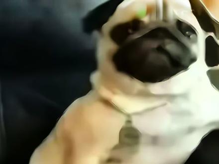 #笑声 #雷霆笑声 小黄人在这@朝