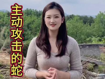你们知道还有哪些蛇会主动攻击人吗 #蛇类科普 #五步蛇 #剧毒 #知识分享 #上热门🔥