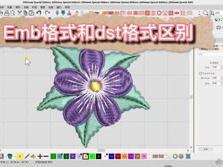 电脑绣花制版后保存的dst格式花样为什么没有了原来的颜色和特殊针法?#电脑绣花制版培训 #威尔克姆绣花制版教程 #制版特殊针法