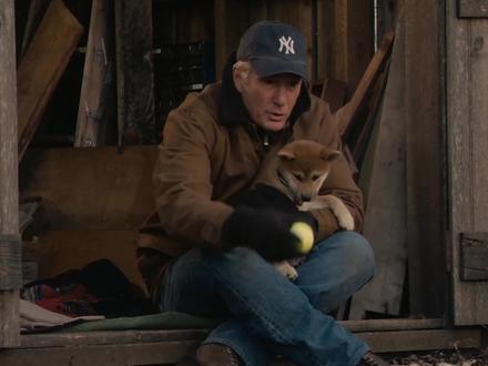 狗狗为何能预知人的死亡 #动物科普 #狗狗的迷惑行为 #萌知计划