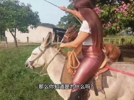 太惨了,两美女为驯马竟一个劲的抽打马,马儿还不能有任何不满 #动物世界