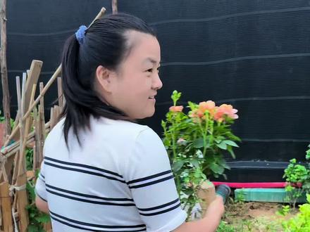 本来都没报希望的花竟然开的这么漂亮