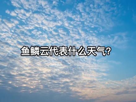 鱼鳞云代表什么天气?