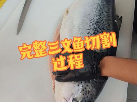 来个完整的三文鱼切割过程#刺身美食 #三文鱼